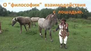 О "философии" взаимодействия с лошадью.