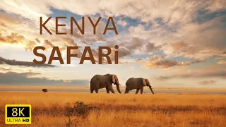 The most epic Kenyan Safari of our lives (see for yourself!)