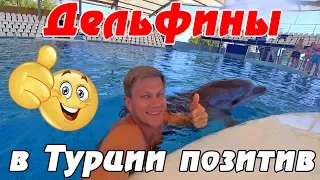 Плавание с дельфинами в Турции 🐬 – дельфинарий и аквапарк DoluSu в Кемере. Влог из Турции