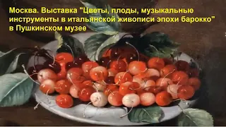 Москва. Выставка "Цветы, плоды, музыкальные инструменты в итальянской живописи эпохи барокко"