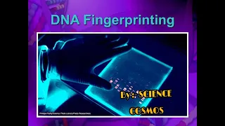 DNA Fingerprinting ll Short animated video ll In Hindi ll