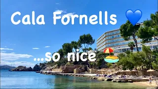 Cala Fornells 💙 Paguera 🇪🇸 Mallorca so nice 💙 wunderschön 🏖️ Anfahrt & Rundgang 😎 25° ☀️ Top Ort