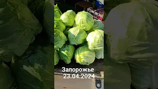 овощи в розницу рынок Анголенко Запорожье #овощи #еда #скидки #огород