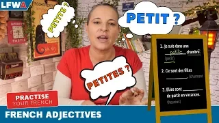 Practise your French adjectives