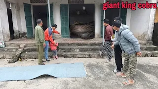 The 70-year-old man was scared when he saw a giant cobra in his house