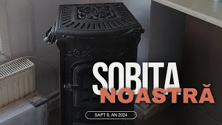 Sobita noastra si curat in biroul Andrei ✅- Sapt 9, 2024