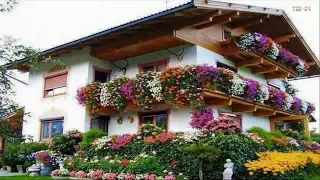 House and Flower - The Most Beautiful House in the world