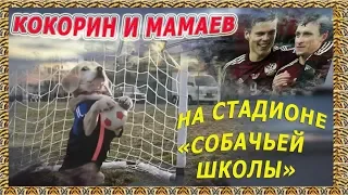 Кокорин и Мамаев на трибунах "Собачьей школы".