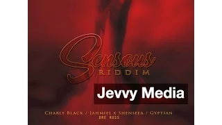Sensous Riddim Mix - May 2017 (Shenseea, Jahmiel, Gyptian, Charly Black): Troyton Music