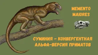 Суминия - конвергентная альфа-версия приматов