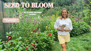 A Flower Garden Started Entirely From Seed - I'm Spilling The Seeds | The Southern Daisy