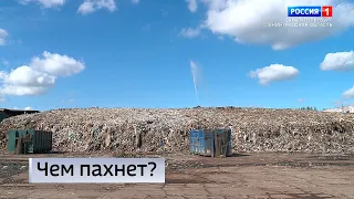 Вести Санкт-Петербург. Выпуск 09:00 от 31.08.2023