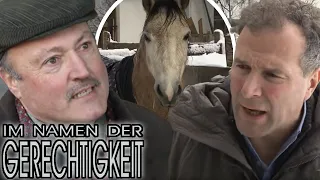 Hold auf Pferdejagd: Wer hat den Deckhengst geklaut? 2/2 |Im Namen der Gerechtigkeit|SAT.1