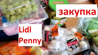 Цены в ЧЕХИИ. БОЛЬШАЯ ЗАКУПКА! LIDL, PENNY, Kaufland