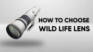 How to Choose Best Wildlife Photography Lenses?