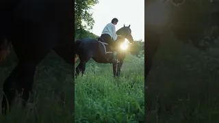 graceful powerful and beautiful horse rider.shorts.грациозная мощная и красивая лошадь всадница.