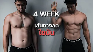 เส้นทางการลดไขมันใน 4 สัปดาห์ มือใหม่ทำง่าย ลดได้แน่นอน 100%