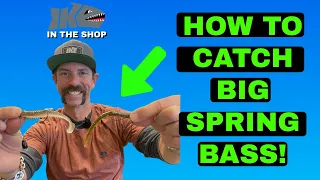 How TO Catch BIG Spring BASS! (EASY RIG)