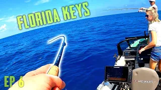 WTH JUST HAPPENED TO MY FISH?!? - Florida Keys Fishing