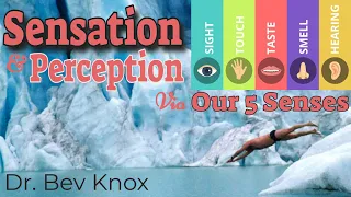 Psychology of Sensation & Perception Explained via Our 5 Senses