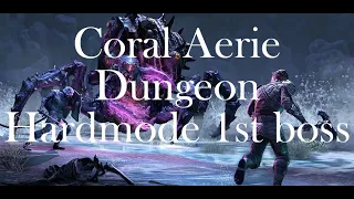 Coral Aerie Dungeon - HM 1st boss - Sorcerer Healer – ESO