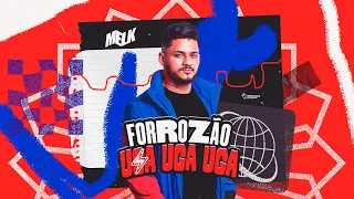 FORROZÃO UGA UGA UGA - DJ MELK