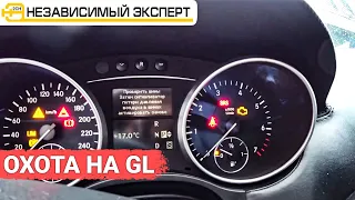 Охота на GL началась!