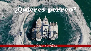 ¿QUIERES PERREO ? Vol.7 🛥☀️🌊 Yacht Edition