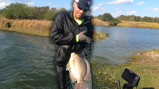 MASSIVE Cast-Net || Florida Fishing with THEMISSFISH