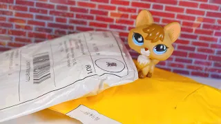 ОРИГИНАЛЬНЫЕ ПЕТЫ С ALIEXPRESS?!