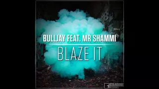 Bulljay ft Mr  Shammi - Blaze It (The Nation Remix)