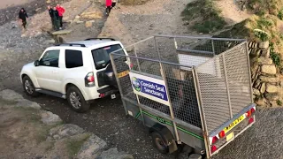 Seal release 1st March 2021 by The Cornish Seal Sanctuary