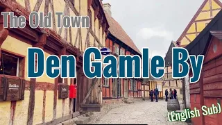 Den Gamle By | Nahum & Pau Travel