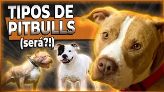 TIPOS DE PITBULL ? - Cinco raças semelhantes ao American Pitbull Terrier - #tudosobrepitbull