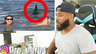 Top 5 SHARK Close Calls | REACTION