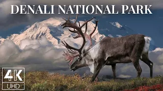 3 HRS Amazing Photography of Denali National Park - Wallpapers Slideshow in 4K UHD