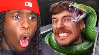 Kai Cenat Reacts to MrBeast Face Your Fear Win $800,000!