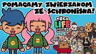 ŚWIĄTECZNY JARMARK CHARYTATYWNY 🐶🐱 Topik i Topcia w świecie TOCA BOCA