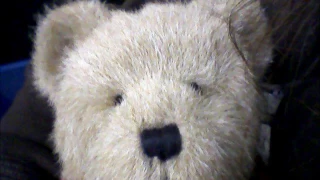 Boyds Bear