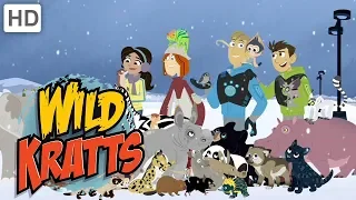 Wild Kratts 🎄❄️ A Creature Winter Wonderland | Kids Videos