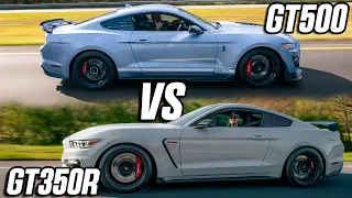 What is the BEST Modern MUSTANG? Shelby GT350R vs GT500 Side By Side Comparison!