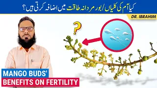 Aam Ke Baur Ke Fawaid! Mango Buds/Flower Benefits On Fertility! Mardana Kamzoori/Banjhpan Urdu/Hindi