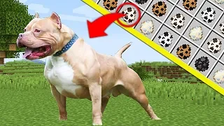 NUEVAS MASCOTAS COLECCIONA RAZAS DE PERROs - Minecraft Mods Videos