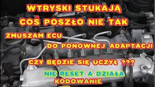 EXPERT WYMUSZONY RESET WARTOŚCI WYCZONYCH WTRYSKIWACZY CR KODOWANIE  INJECTOR TEST & CODING DIESEL