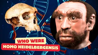 Who Were Homo Heidelbergensis | What We Know So Far