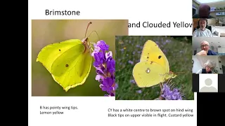 Butterfly Identification Training: Part One