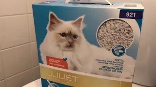 Наполнитель для туалета кошки без пыли 😼