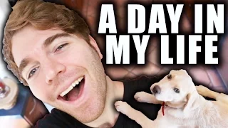 A DAY IN MY LIFE