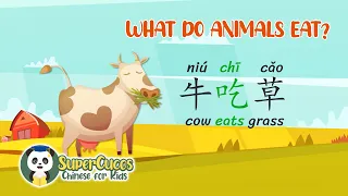 Learn Chinese for Kids- What Do Animals Eat? | 学中文- 动物吃什么? | Aprender Chino - Qué Comen los Animales