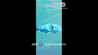 Кто ты из Hungry Shark Evolution по знаку зодиака.